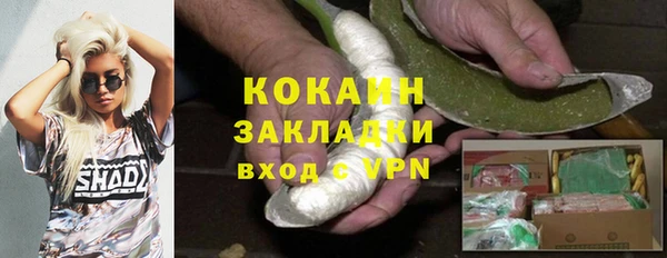 индика Абаза