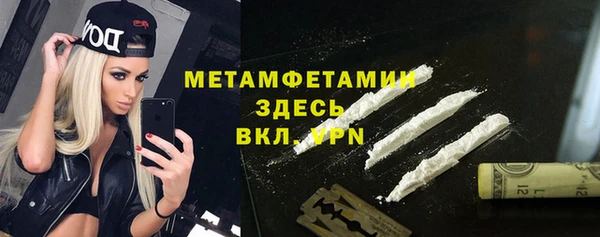 индика Абаза