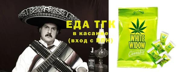 индика Абаза