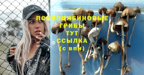крисы Абдулино