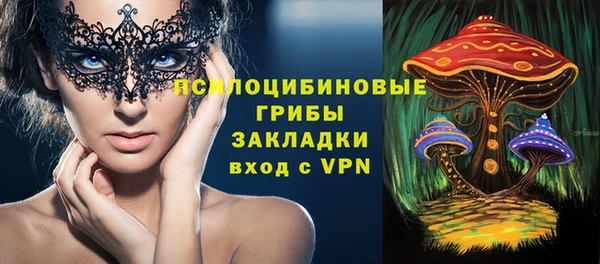 крисы Абдулино
