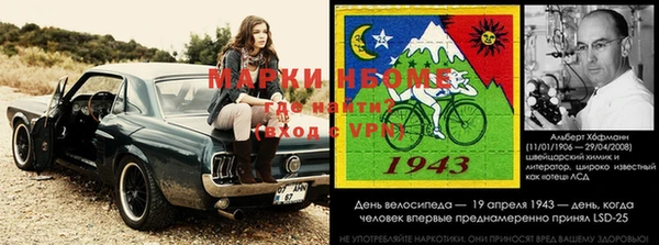 индика Абаза
