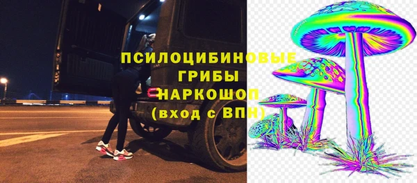 крисы Абдулино
