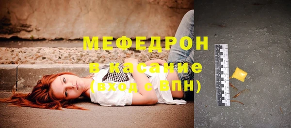 индика Абаза