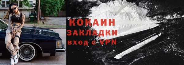 индика Абаза