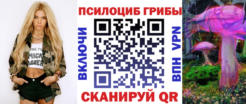 Псилоцибиновые грибы прущие грибы  Дербент 